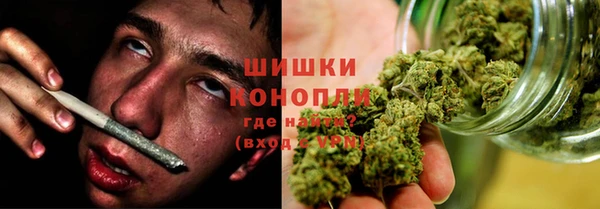 spice Липки