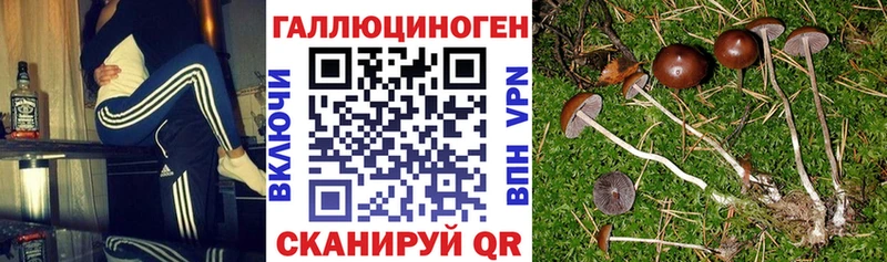 Купить Ясногорск Галлюциногенные грибы мухоморы